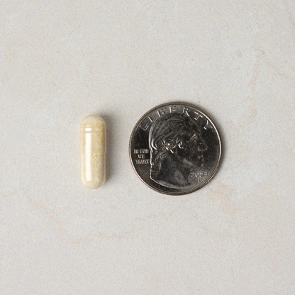 Neuralli® Cognition+